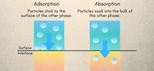 absorb definition meaning and related terms explained
