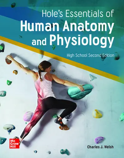 Anatomy & Physiology: Your Essential Online Resource Hub 1 anatomy physiology your essential online resource hub