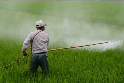 Are pesticides and fertilizers changing agriculture 2 are pesticides and fertilizers changing agriculture