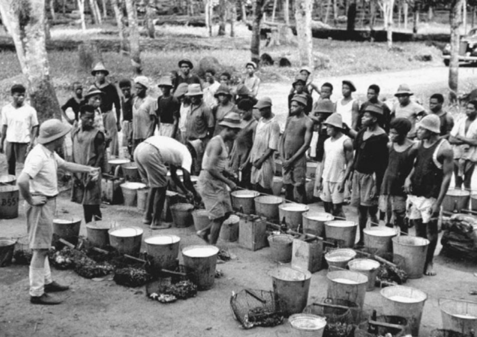 cameroon independence from french british rule