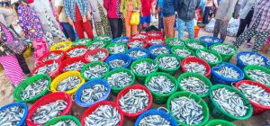 fishing agriculture trade linking sustainable practices
