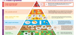 need of nutrition essential nutrients food groups facts