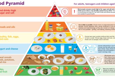 need of nutrition essential nutrients food groups facts