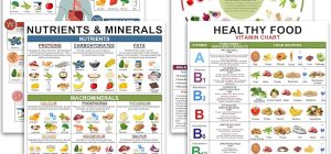 nutrition needs essential vitamins minerals and proteins