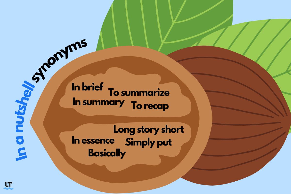 nutshells definition and meaning of nut shell