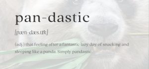 panda dictionary understanding its definition and meaning