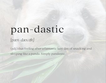 Panda Dictionary: Understanding Its Definition and Meaning 2 panda dictionary understanding its definition and meaning