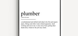 the word plumber definition and meaning explained