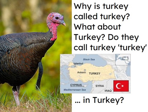 Turkey: What Can You Tell Us About Its Country and People 1 turkey what can you tell us about its country and people