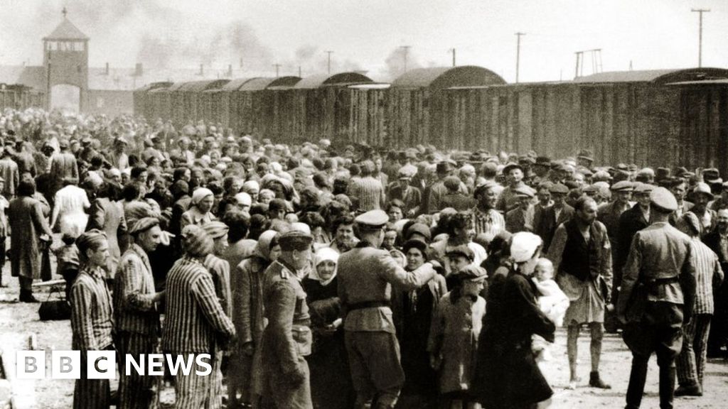 what are concentration camps and their historical impact
