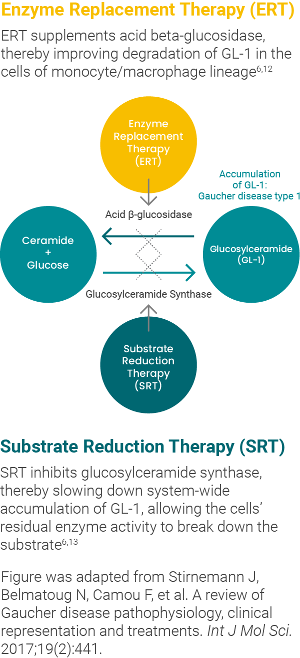 what are the benefits of enzyme replacement therapy for gaucher