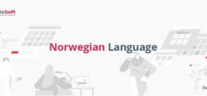 what are the main insights on norwegian history and grammar