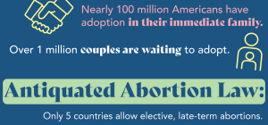 what are the pros and cons of pro life vs pro choice healthcare