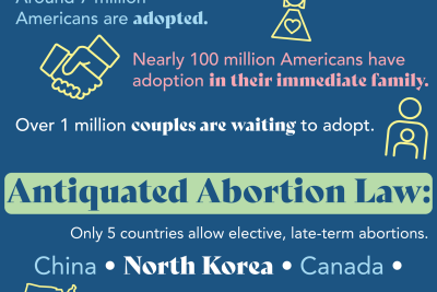 what are the pros and cons of pro life vs pro choice healthcare
