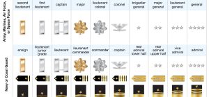 what are the structure insignia and roles of military generals