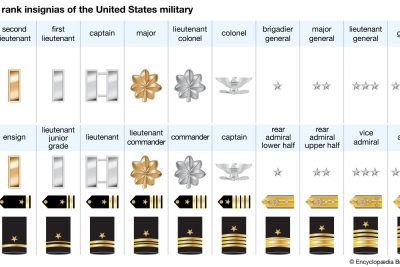 what are the structure insignia and roles of military generals