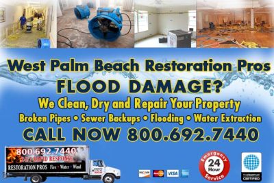 what are the water damage solutions in west palm beach