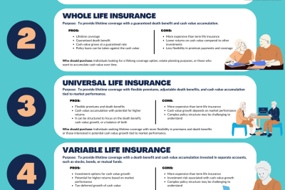 what are volk insurance policies and their key facts