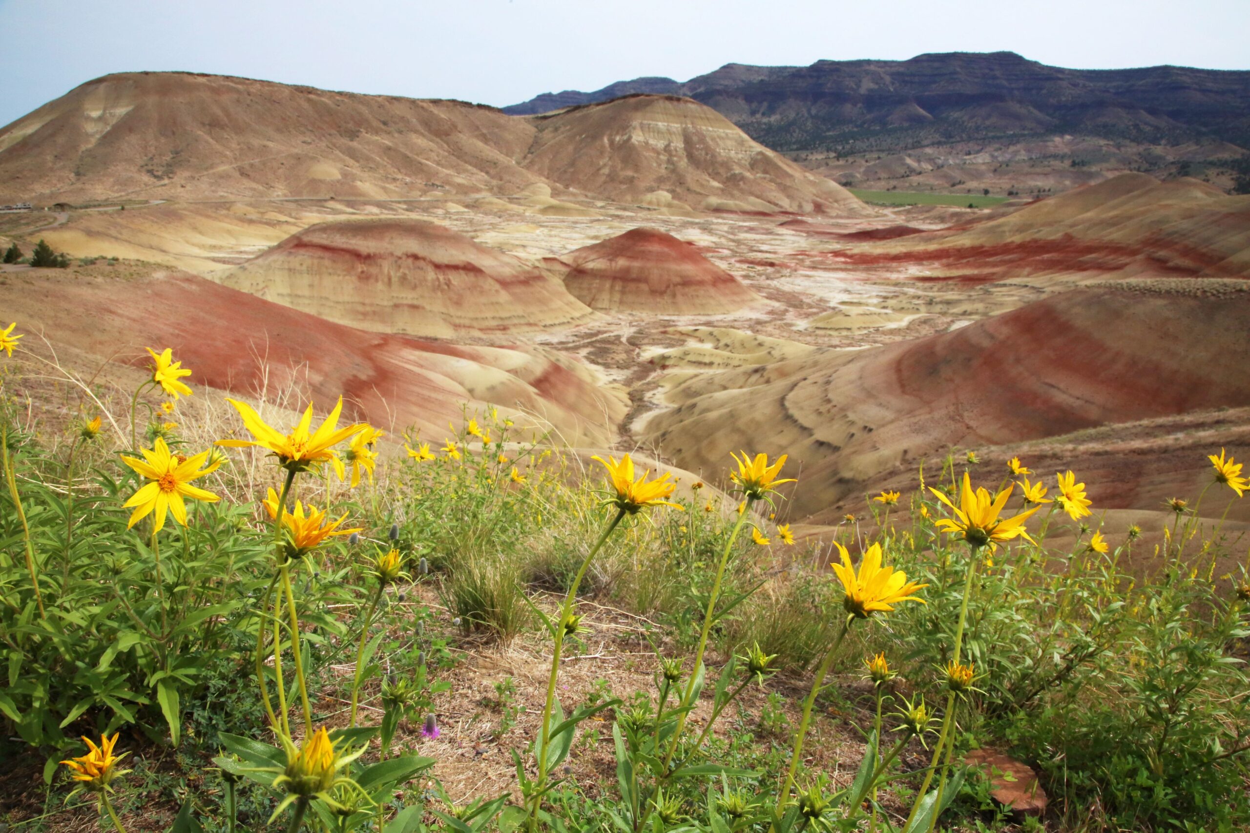 What beauty awaits in Deschutes County's High Desert 1 what beauty awaits in deschutes countys high desert scaled