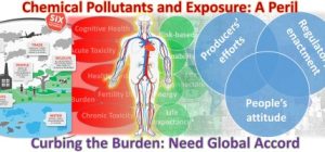 what chemical properties influence poisoning and pollution