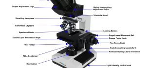 what is magnification optics and illumination in microscopes