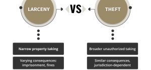 what is the definition and meaning of larceny