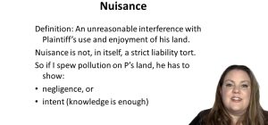 what is the definition and meaning of nuisance in detail