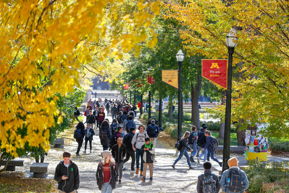 What Opportunities Await at Minnesota University for Students 1 what opportunities await at minnesota university for students